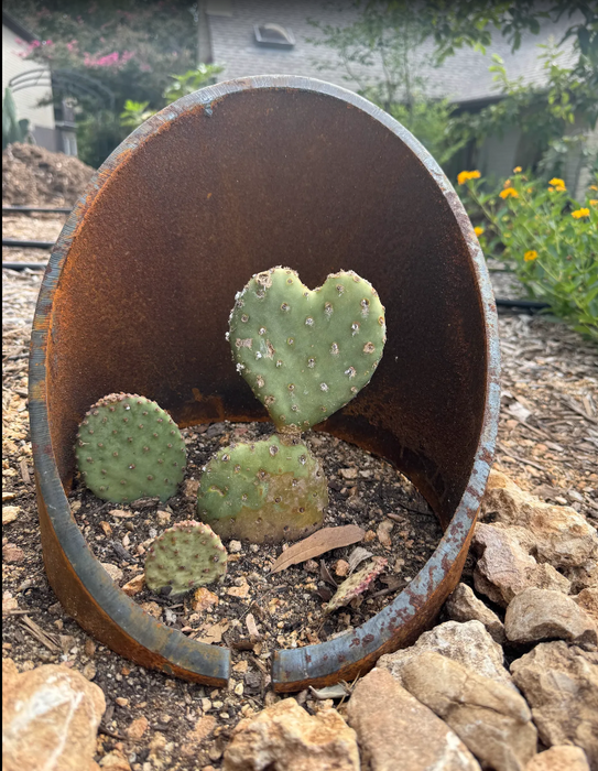 Steel Pots – 10", 12", 16" Metal Planters | Custom Cut in Austin & Briggs TX